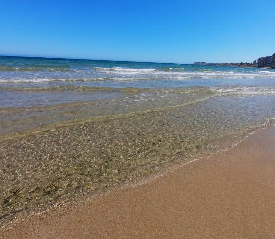 Torrevieja surroundings